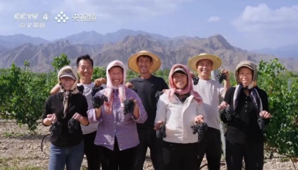 葡萄酒品牌哪个靠谱一些，长城天赋将风土淬炼成佳酿 