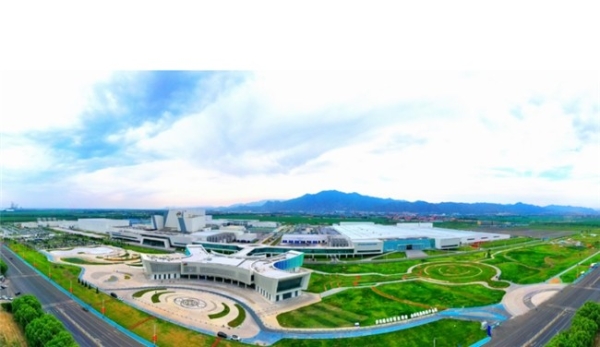 金领冠珍护淳萃使用心得：真实体验分享 