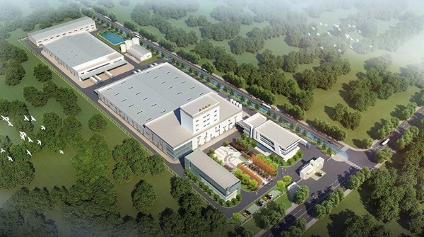 瞄准350亿蓝海市场，央牧乳业凭硬核实力“破局”羊乳赛道 