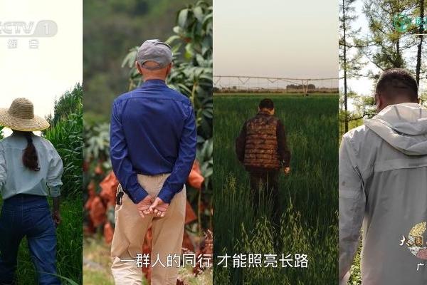 远方好物首登CCTV-1 | 以信任，守护中国家庭餐桌 