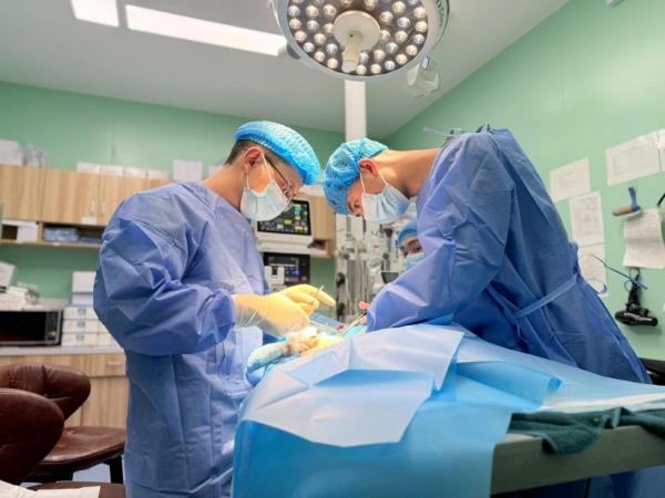 新瑞鹏上海瑞鹏宠物医院黄兴总院：专科精准诊疗，守护爱宠生命线 