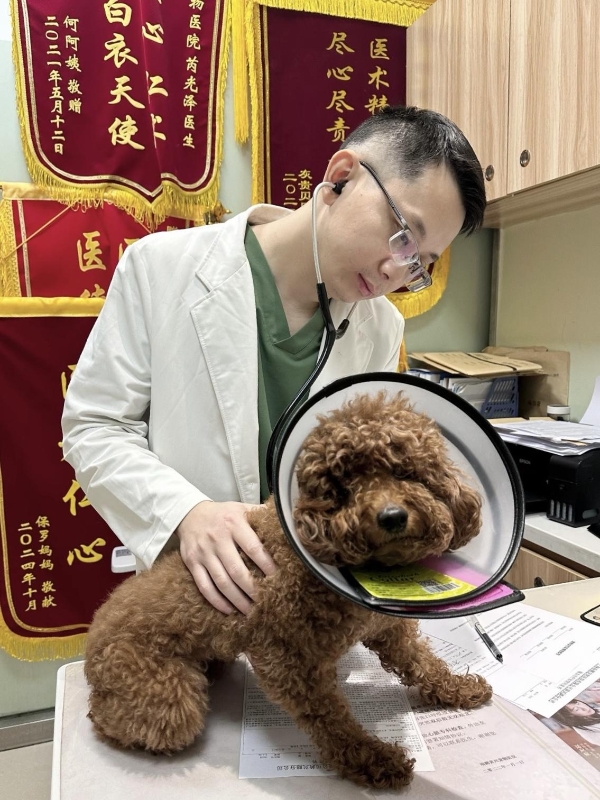 新瑞鹏上海瑞鹏宠物医院黄兴总院：专科精准诊疗，守护爱宠生命线 
