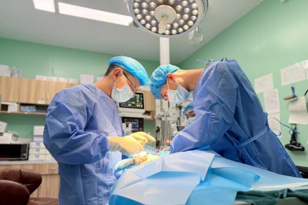 新瑞鹏上海瑞鹏宠物医院黄兴总院：专科精准诊疗，守护爱宠生命线 