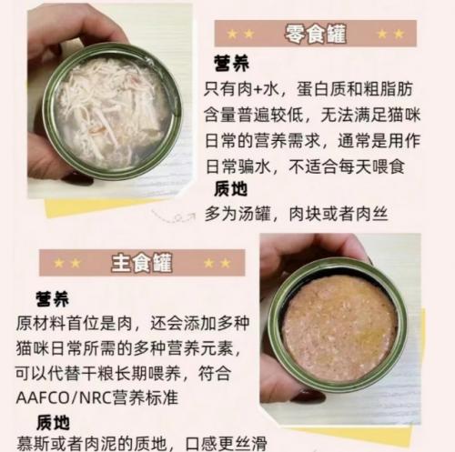 【实测指南】2026年幼猫主食罐头实测评估：0-12 月龄分阶段喂养全解析 