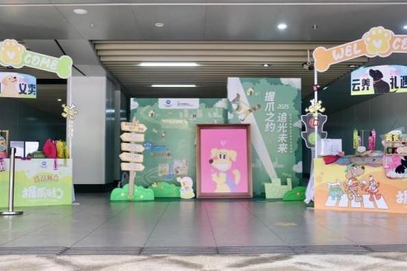 连获三项公益大奖 柯尼卡美能达以“可视化”公益传递品牌温度 