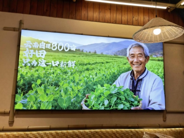 不止于门店数字：乔杉杉900+店背后的品牌深耕 