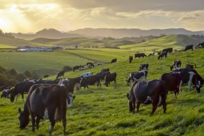 goodhealth好健康联合老爸评测，提供更好的儿童免疫健康方案 