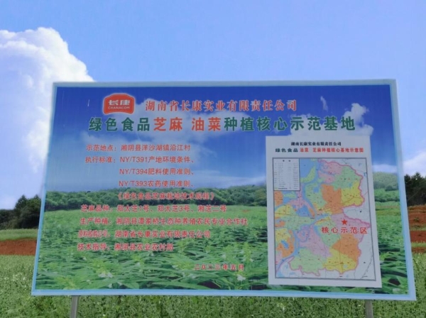 真假芝麻油速辨！长康100%纯芝麻油品质筑牢防线 