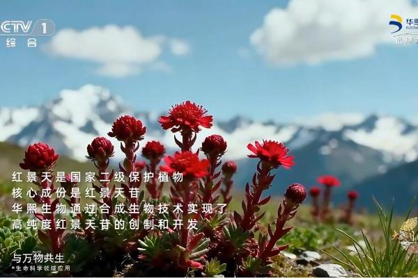 《拾光》照耀中国科创之路：华熙生物以科技之光重塑生命健康鲜活 