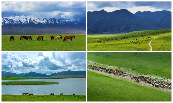 经典IP《魔域》联动丝路明珠，以数字水墨再造“天马”神韵 