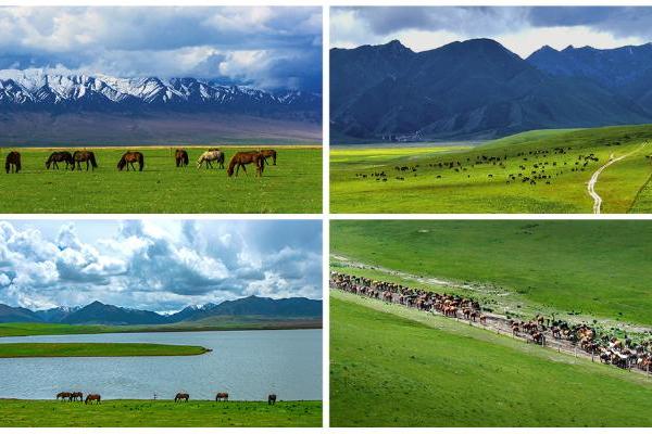 经典IP《魔域》联动丝路明珠，以数字水墨再造“天马”神韵 