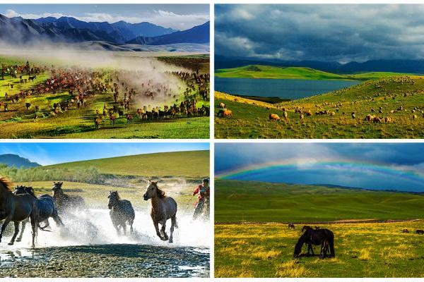 经典IP《魔域》联动丝路明珠，以数字水墨再造“天马”神韵 