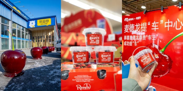 年货节车厘子销售增长超300% 麦德龙“车厘子痛城”亮相冰城 