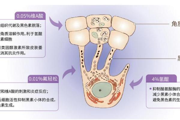 线上健康平台迎来专业级黄褐斑治疗药物孚立美® 