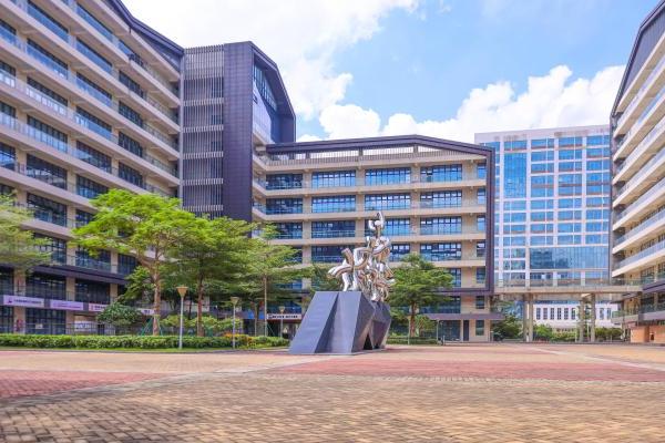 聚商脉、汇人才、优政策，解读番禺民企的发展密码 