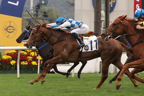 元旦当天，8250名内地游客到香港看赛马，同比增一倍 