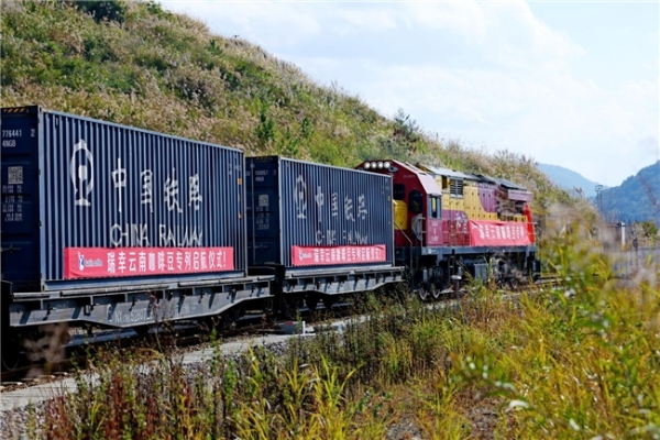 从普洱到厦门，瑞幸首列云南咖啡豆专列发车