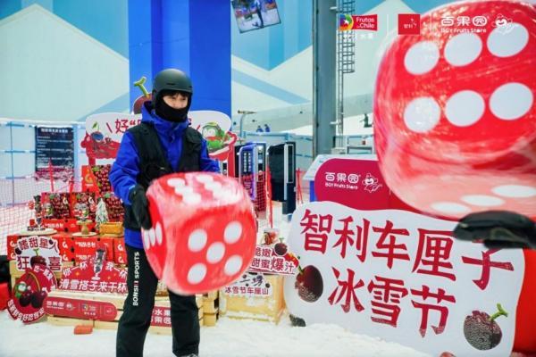 冰雪与甜蜜碰撞！智利车厘子冰雪节新年启幕 