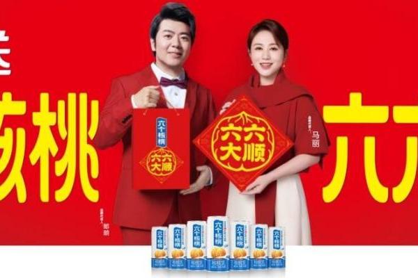 养元六个核桃牵手马丽、郎朗，“马上六六大顺”在这个春节强势破圈 