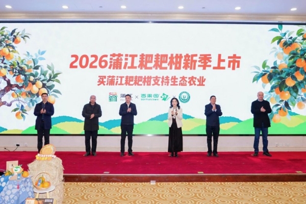 是“善良果”更是“安心果”！蒲江耙耙柑甜蜜上市，从源头守护消费者舌尖安全 