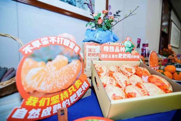 是“善良果”更是“安心果”！蒲江耙耙柑甜蜜上市，从源头守护消费者舌尖安全 