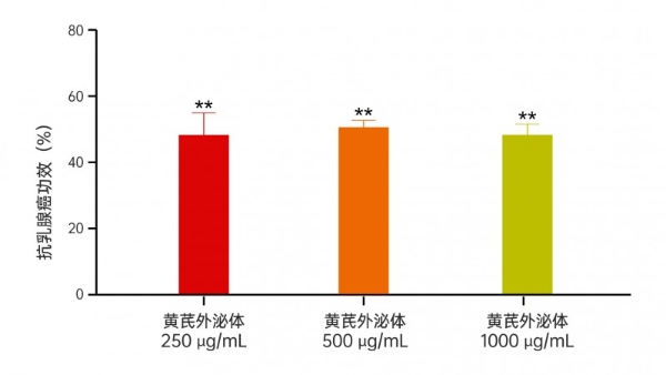 重磅丨锁定肝肺，双重打击！全球首创黄芪外泌体呈现精准靶向性，研究揭示其具有抗肿瘤新潜力 