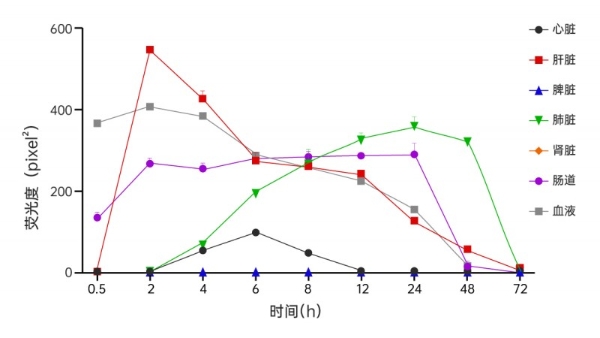 重磅丨锁定肝肺，双重打击！全球首创黄芪外泌体呈现精准靶向性，研究揭示其具有抗肿瘤新潜力 
