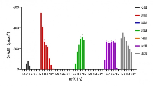 重磅丨锁定肝肺，双重打击！全球首创黄芪外泌体呈现精准靶向性，研究揭示其具有抗肿瘤新潜力 