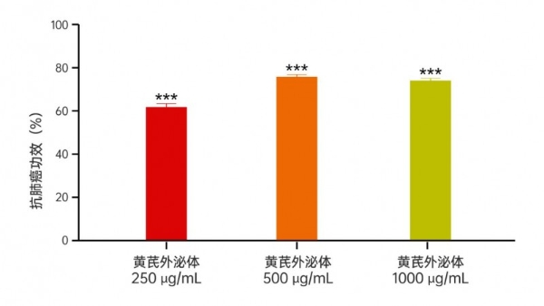 重磅丨锁定肝肺，双重打击！全球首创黄芪外泌体呈现精准靶向性，研究揭示其具有抗肿瘤新潜力 