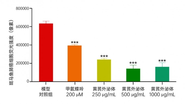 重磅丨锁定肝肺，双重打击！全球首创黄芪外泌体呈现精准靶向性，研究揭示其具有抗肿瘤新潜力 