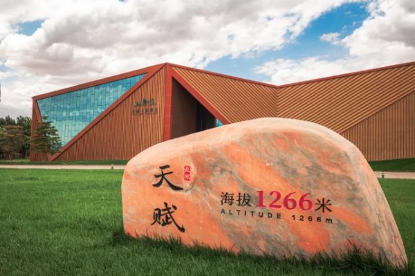 葡萄酒选购注意什么，长城葡萄酒将生态保护与产业发展结合 