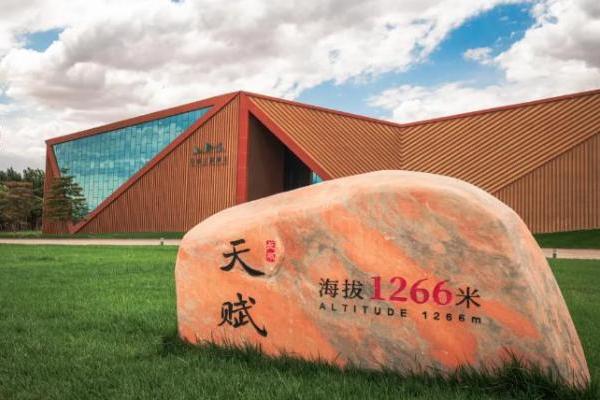 葡萄酒选购注意什么，长城葡萄酒将生态保护与产业发展结合 