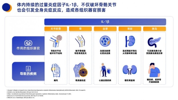 健康科普：免疫系统“吹哨人”白介素 - 1β 如何引发身体炎症风暴 