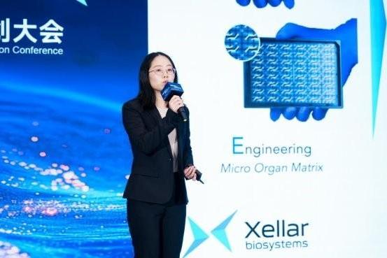 2026 “科创新芽” 南上海创新创业大赛颁奖盛典 