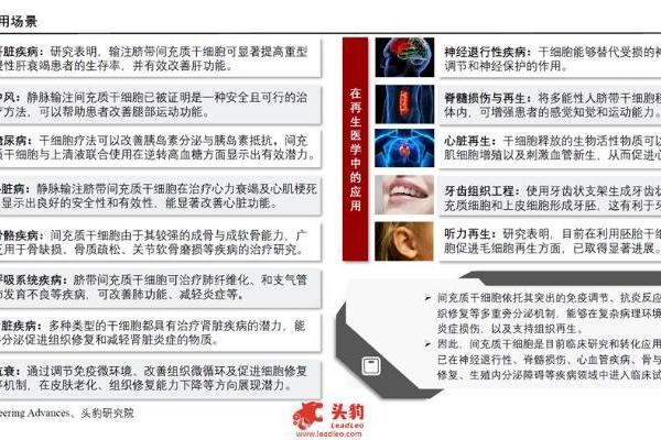 2025年中国干细胞行业发展现状及趋势洞察行业研究报告 