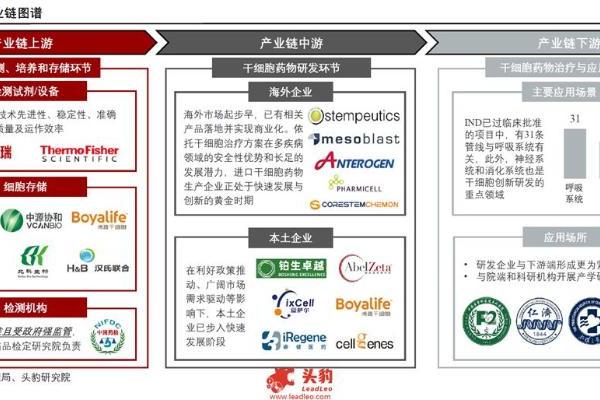 2025年中国干细胞行业发展现状及趋势洞察行业研究报告 