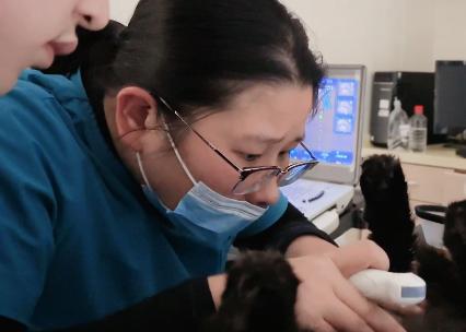 新瑞鹏芭比堂动物医院上海机灵鬼分院：以专业赢得信赖 