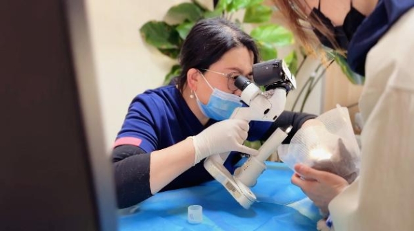 新瑞鹏芭比堂动物医院上海机灵鬼分院：以专业赢得信赖 