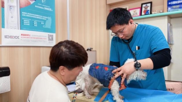 新瑞鹏芭比堂动物医院上海机灵鬼分院：以专业赢得信赖 