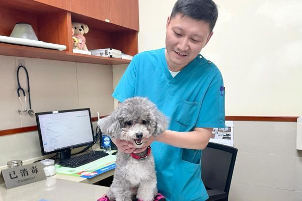 专注宠物内科十八载，上海艾贝尔玉佛宠物转诊中心医院精研诊疗技术，护航宠物健康 