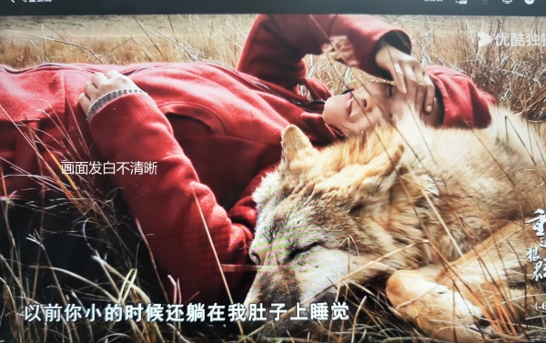 买3台电视都串色咋整？2026年SQD-Mini LED电视推荐，这样买不出错 