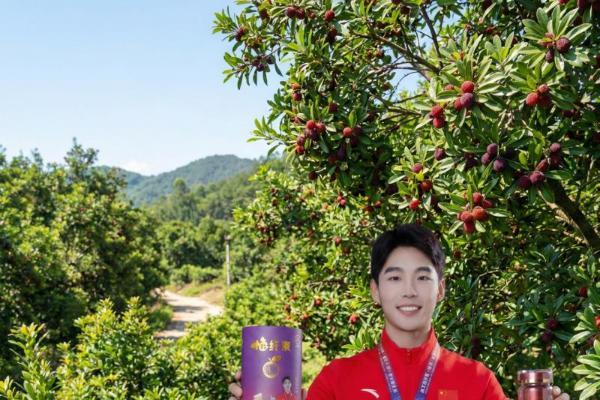 世界冠军梁文杰力荐！仙同人双星闪耀，焕活身心源动力 