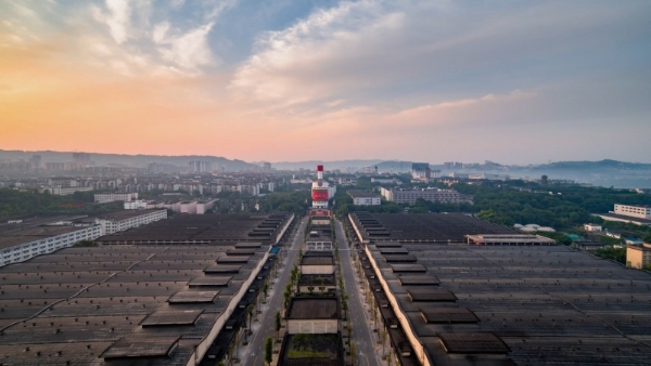 五粮液：坚守品质初心 打造可持续质量管理新引擎 