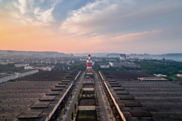 五粮液：坚守品质初心 打造可持续质量管理新引擎 