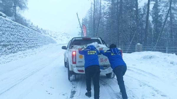 德邦快递的长期主义：从装卸台到雪山之巅的坚守力量 