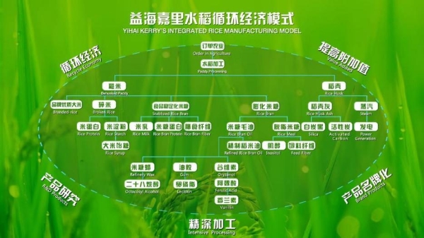 双第一实至名归！金龙鱼6步鲜大米：国际品质巅峰+全国销量第一，循环经济赋能产业升级 