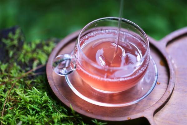 专家解读春节礼品新趋势，科学剖析紫皮石斛如何满足中老年核心健康需求 