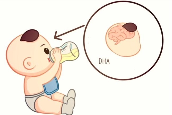 含DHA的奶粉有哪些推荐？牛奶粉和羊奶粉热门款解析 