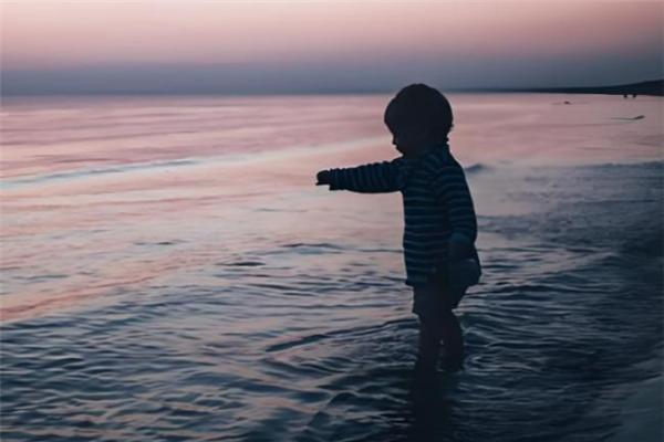 乳铁蛋白奶粉哪个品牌更优？从品牌实力到配方表现解析 