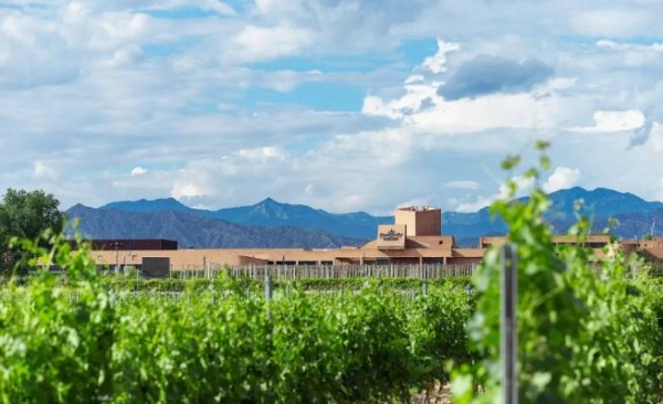 葡萄酒选择哪个品牌，长城桑干以精细监测夯实品质基础 